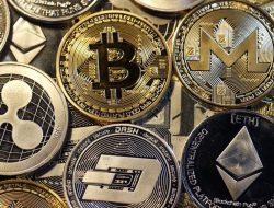 Top crypto coins to invest in for promising returns