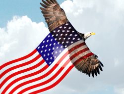 American Foundation & Basement Repairs Llc Excellence In Service