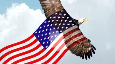 Albums 95+ Pictures American Eagle Pictures With Flag Sharp