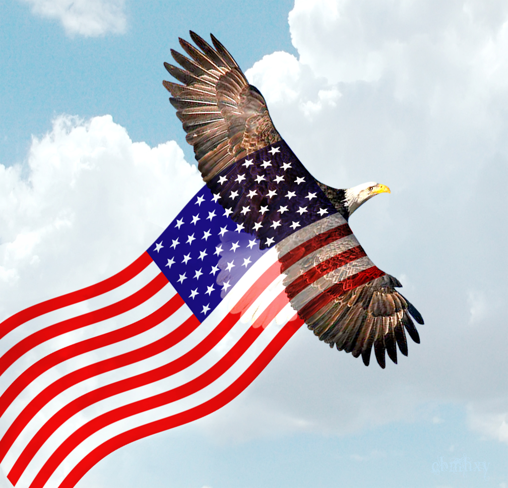 Albums 95+ Pictures American Eagle Pictures With Flag Sharp